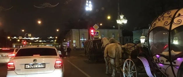 В Петербурге произошла авария с участием кареты с лошадьми