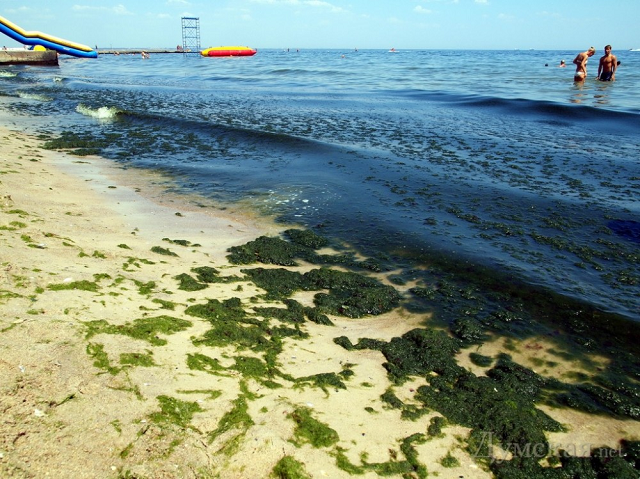 Грязная жижа вместо моря и невыносимая вонь: туристы показали печальные видео с пляжей Одесчины