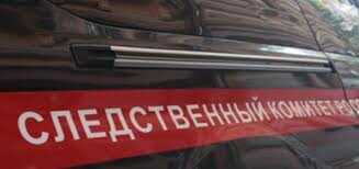 Случак занимался рубкой, а Авдалян перевозкой: разоблачение схемы незаконной деятельности