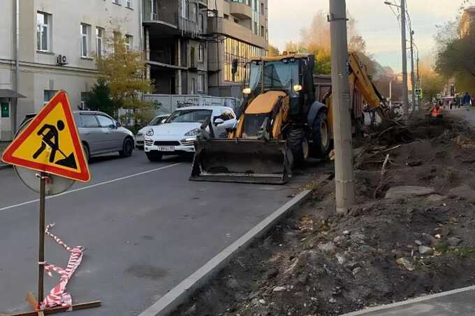 Скандал с Гижицкой: жителей Новосибирска волнует вырубка деревьев