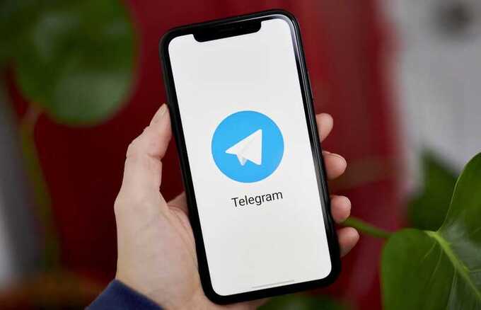 Во Франции произошло несколько случаев взлома аккаунтов депутатов в Telegram