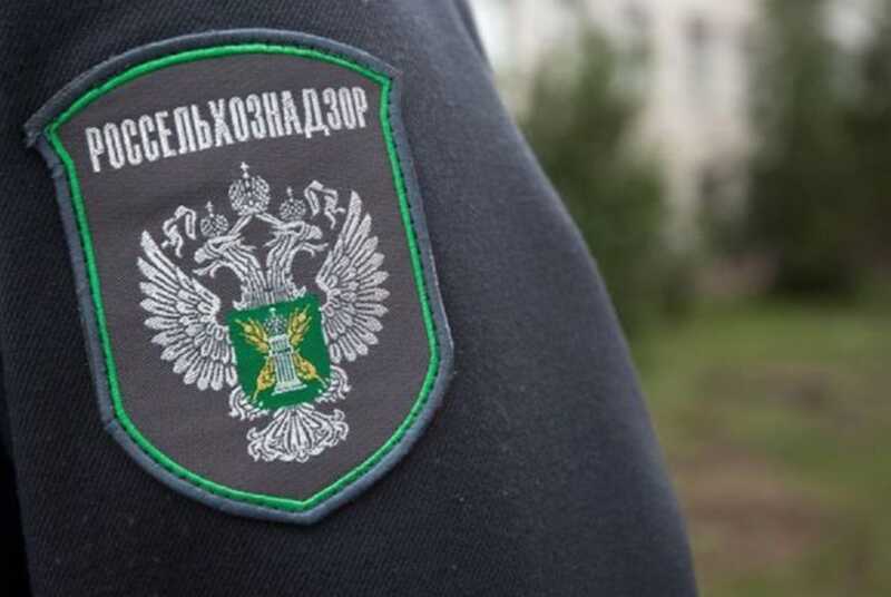 В Челябинске задержан сотрудник Россельхознадзора по подозрению в организации коррупционной схемы