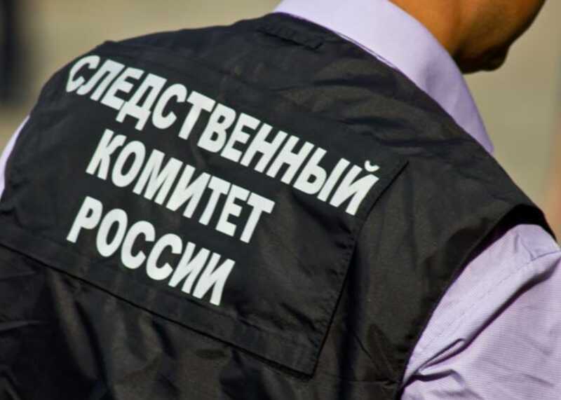 В Бердянске фанатку «битцевского маньяка» подозревают в убийстве ребенка