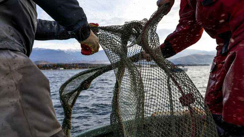 Украина использует бывшие в употреблении рыболовные сети из Швеции и Дании для защиты от дронов