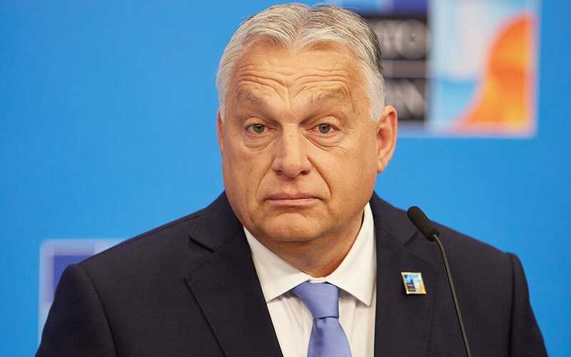 Трамп предложил Виктору Орбану рассмотреть возможность организации переговоров Путина и Зеленского в Будапеште