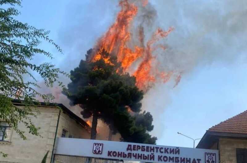 В Дербенте вспыхнул административный сектор коньячного завода