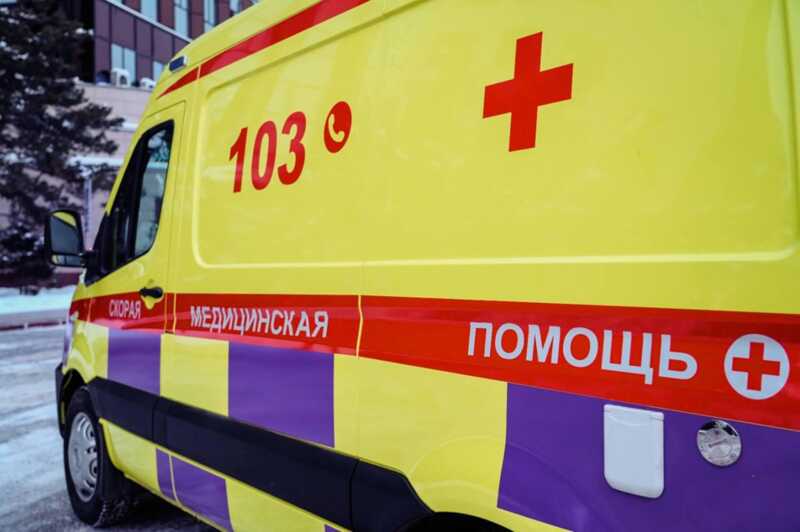 В Тольятти юноша оказался в больнице с травмой головы вследствие падения дерева