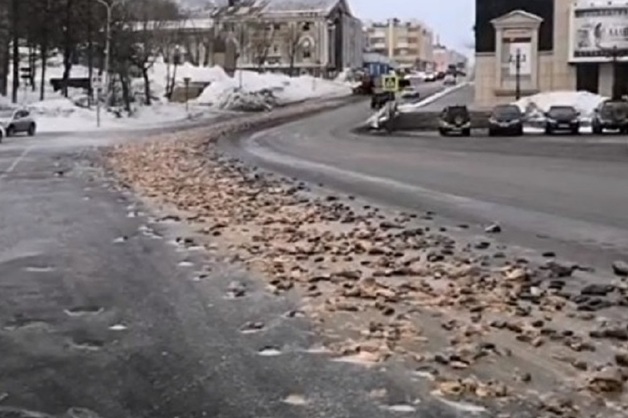 В Петропавловск-Камчатске напротив здания правительства случайно опрокинули 8 тонн рыбных отходов