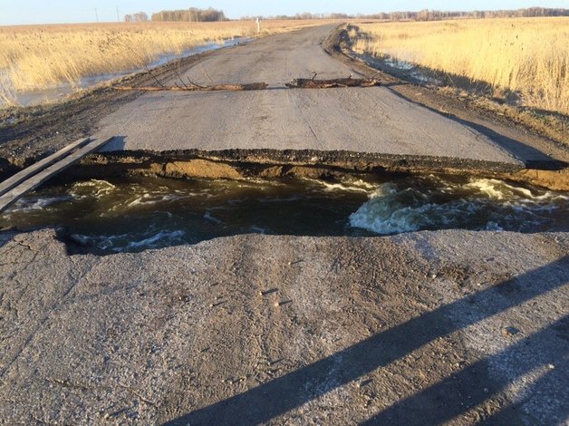 В РФ пенсионерка сломала ногу из-за обвала дороги и проползла по грязи 6 километров