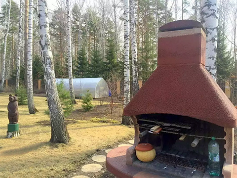 Теплица и русская печка внутри соснового лес