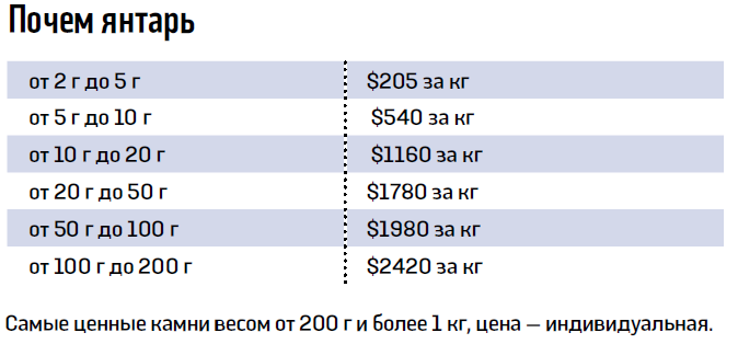 Битва за янтарь. Почему после визита Зеленского добывать камень стали активнее - фото 3